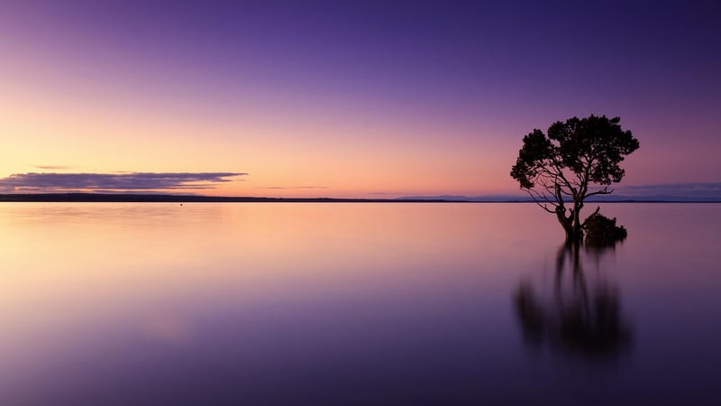 Minimalist Serene Retreats